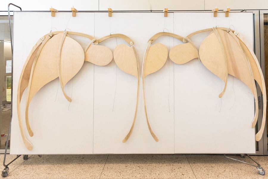 Image post by @washusamfoxschool on Facebook