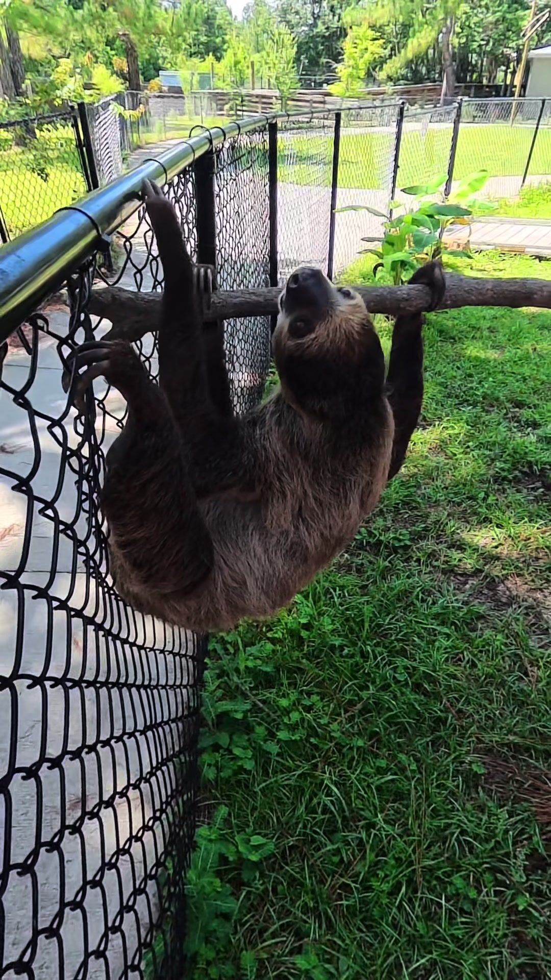 Video post by @mybeachgetaways on TikTok