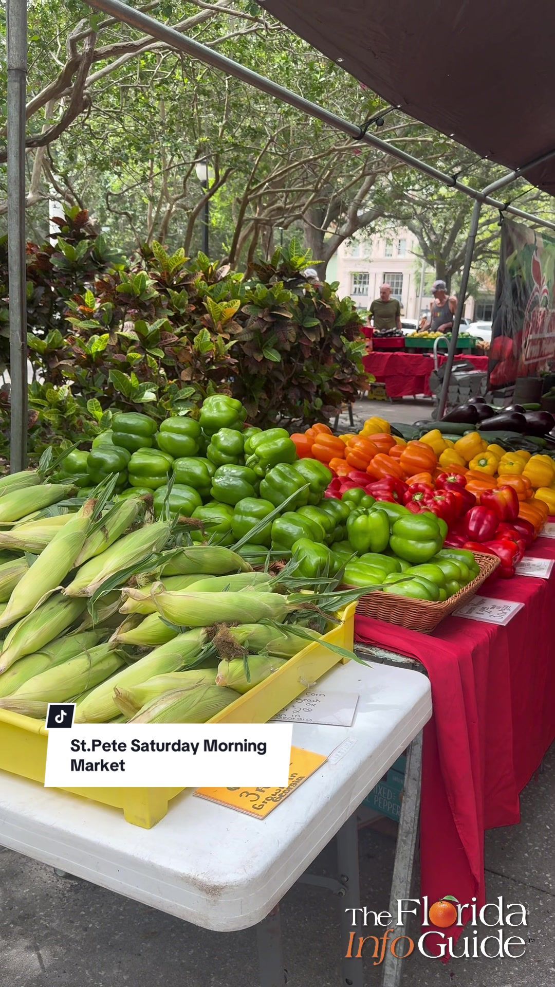 Video post by @fl.infoguide on TikTok