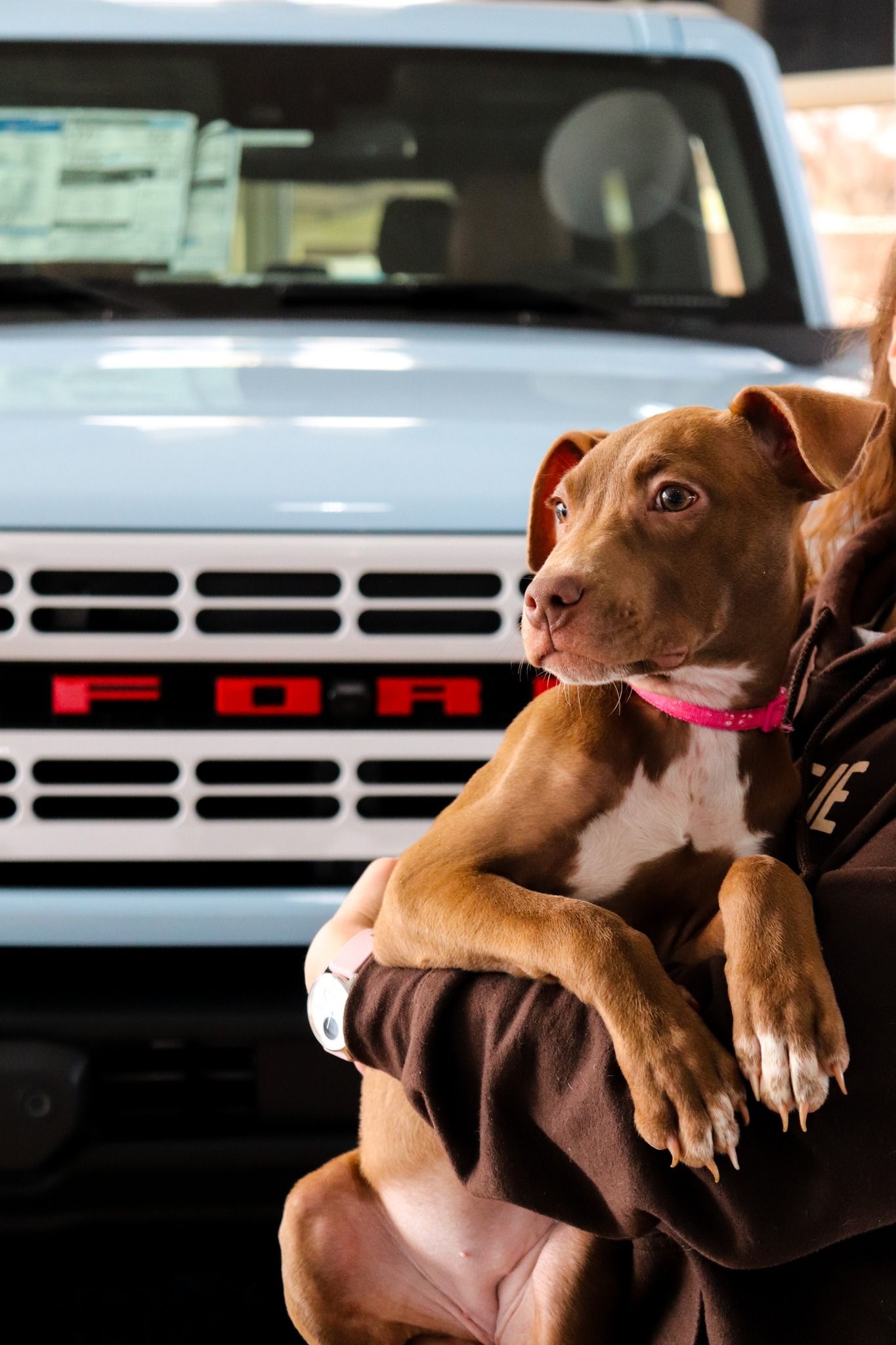 Video post by @PaulMillerFord on Facebook