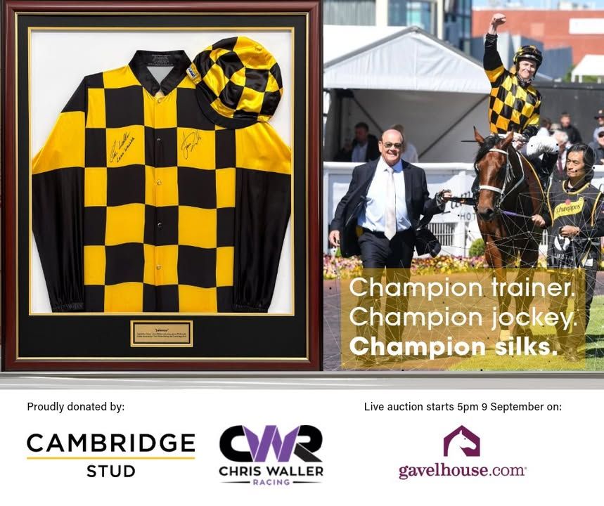 Image post by @nzhorseambulancetrust on Facebook