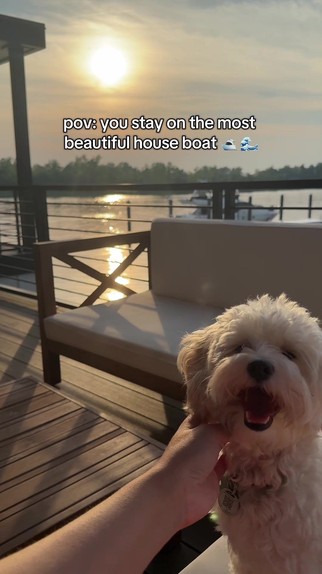 Video post by @chelseadblackwell on TikTok