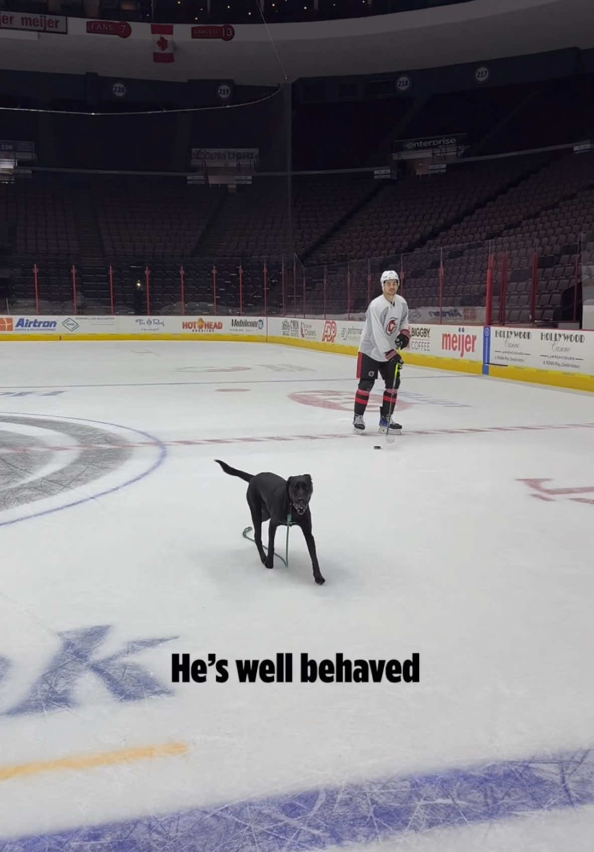 Video post by @cincycyclones on TikTok