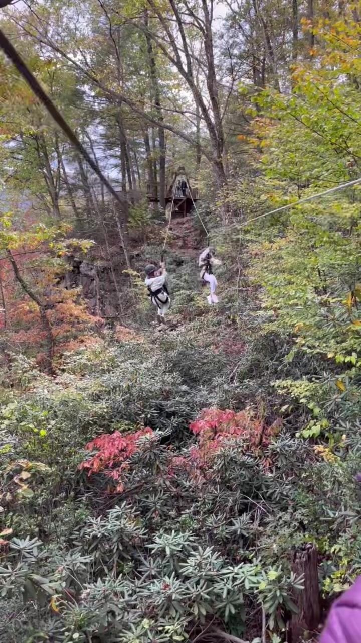 Video post by @strollerinthecity on TikTok