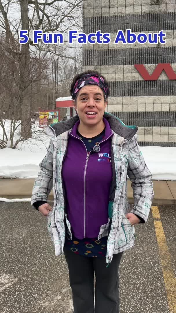 Video post by @wqlnpbsnpr on TikTok