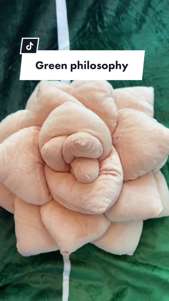 Video post by @sabrina.sustainable.life on TikTok