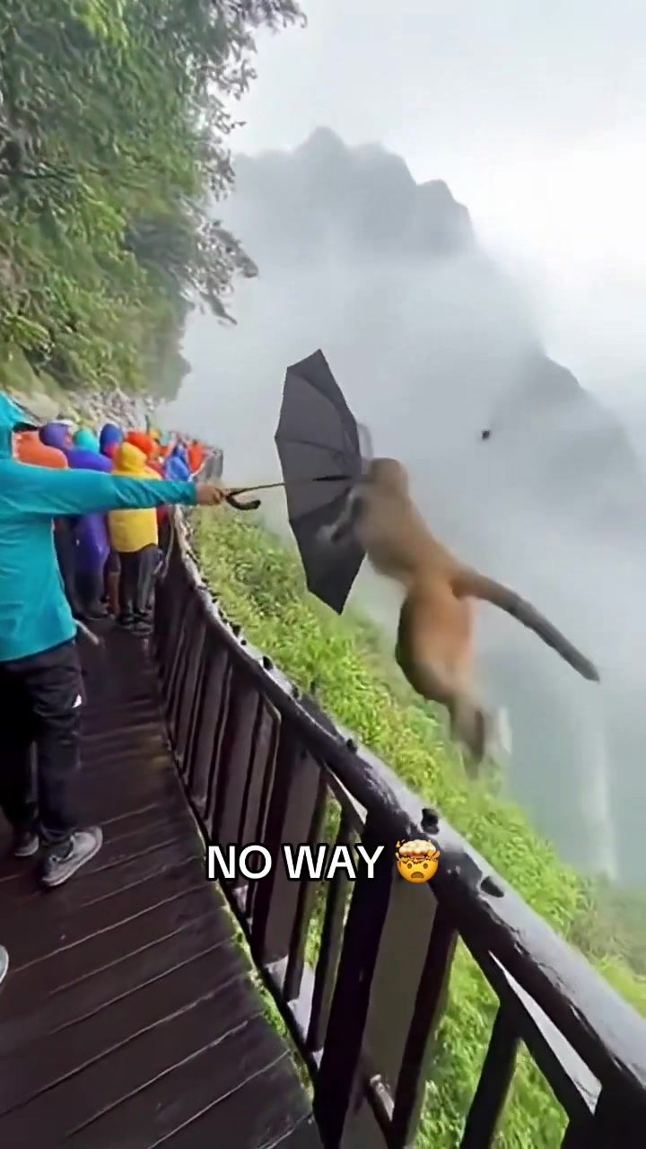 Video post by @overtime on TikTok