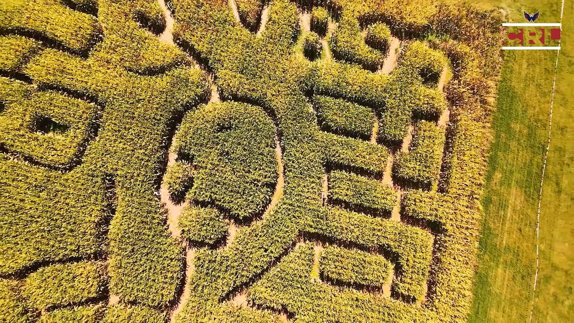 Video post by @capitals on Facebook