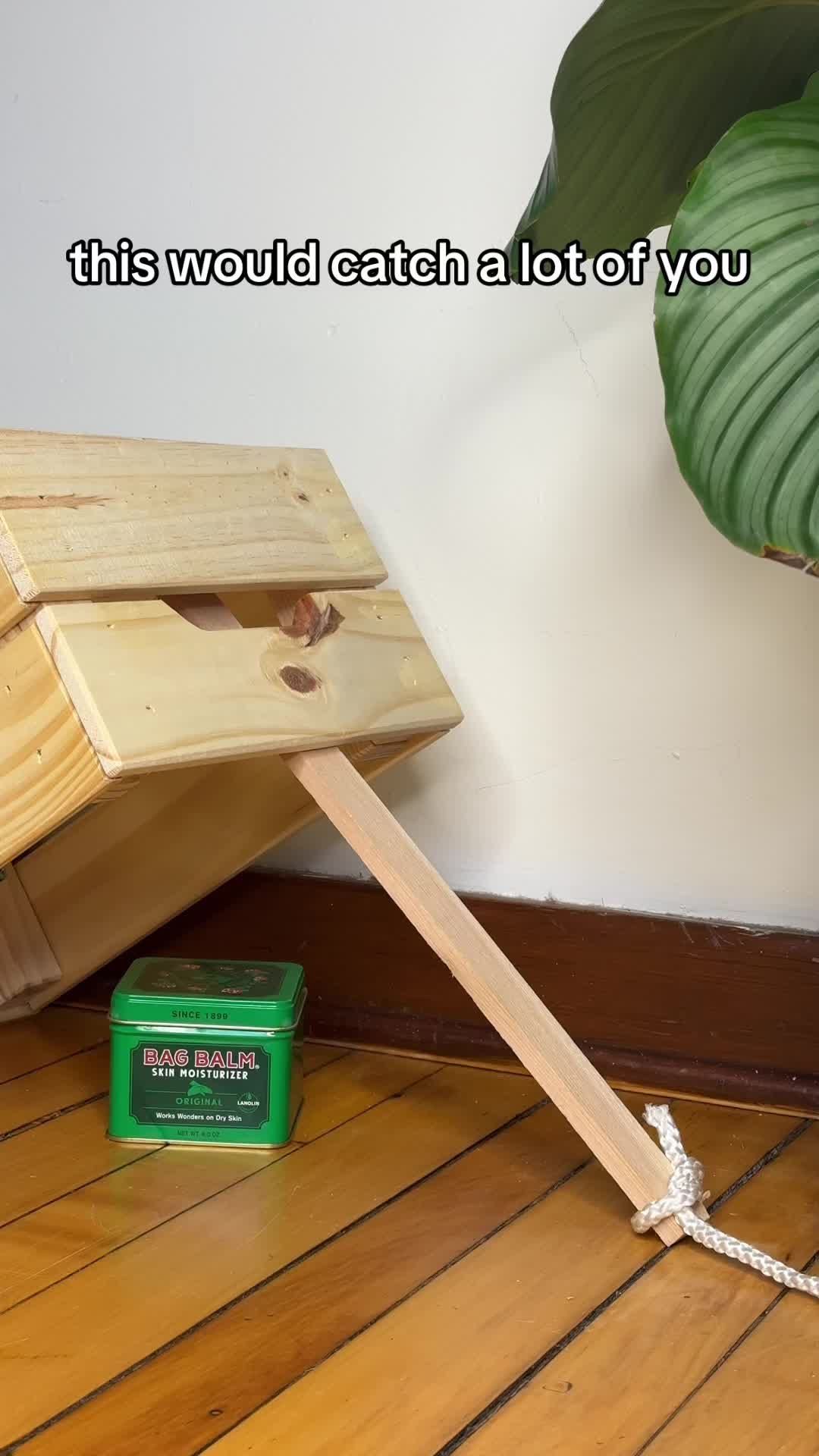 Video post by @originalbagbalm on TikTok