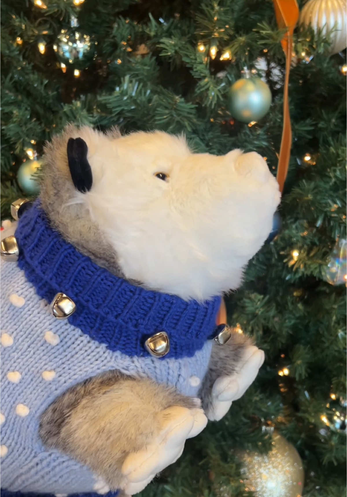 Video post by @uscellular on TikTok