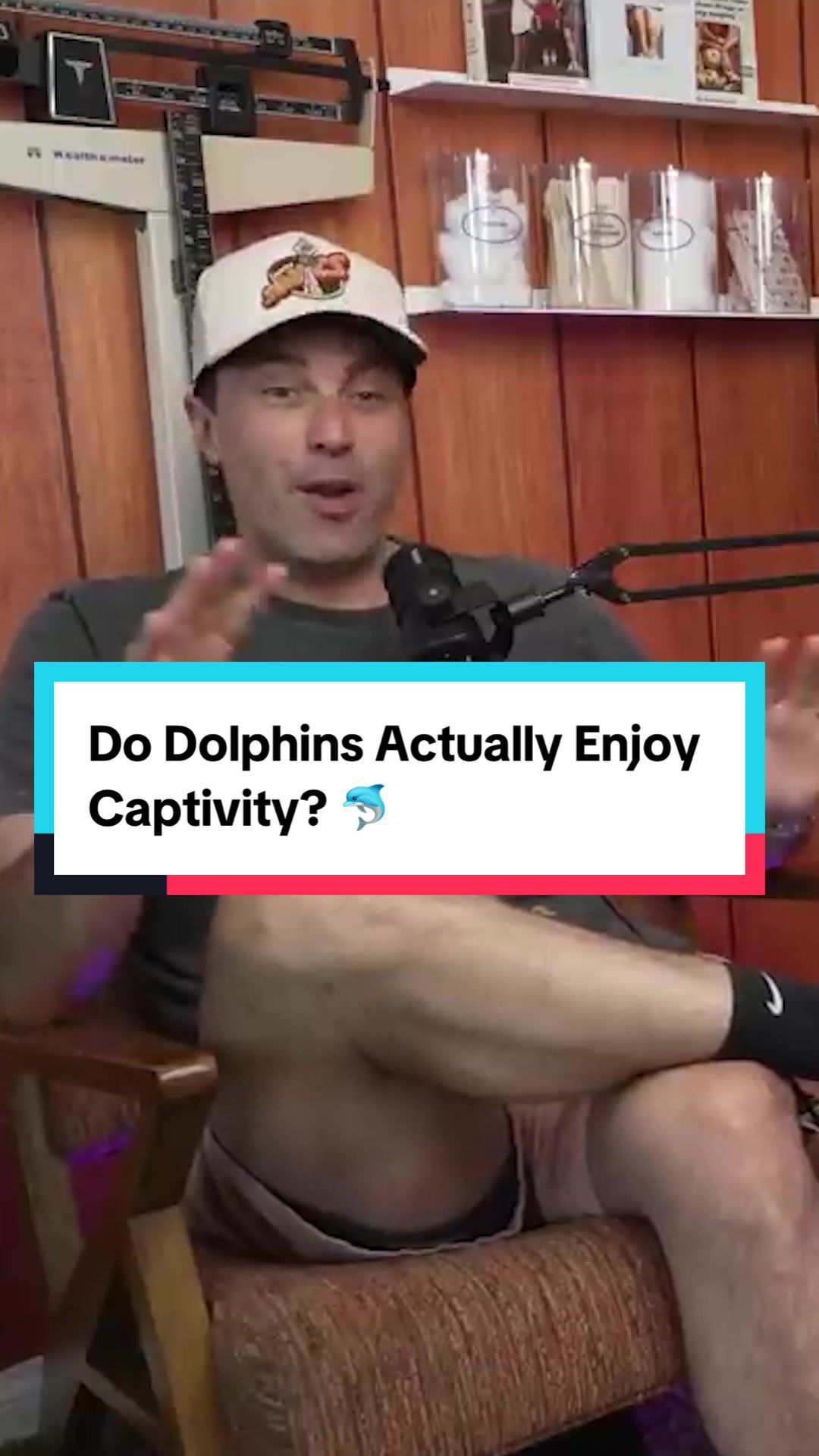 Video post by @allthingscomedy on TikTok