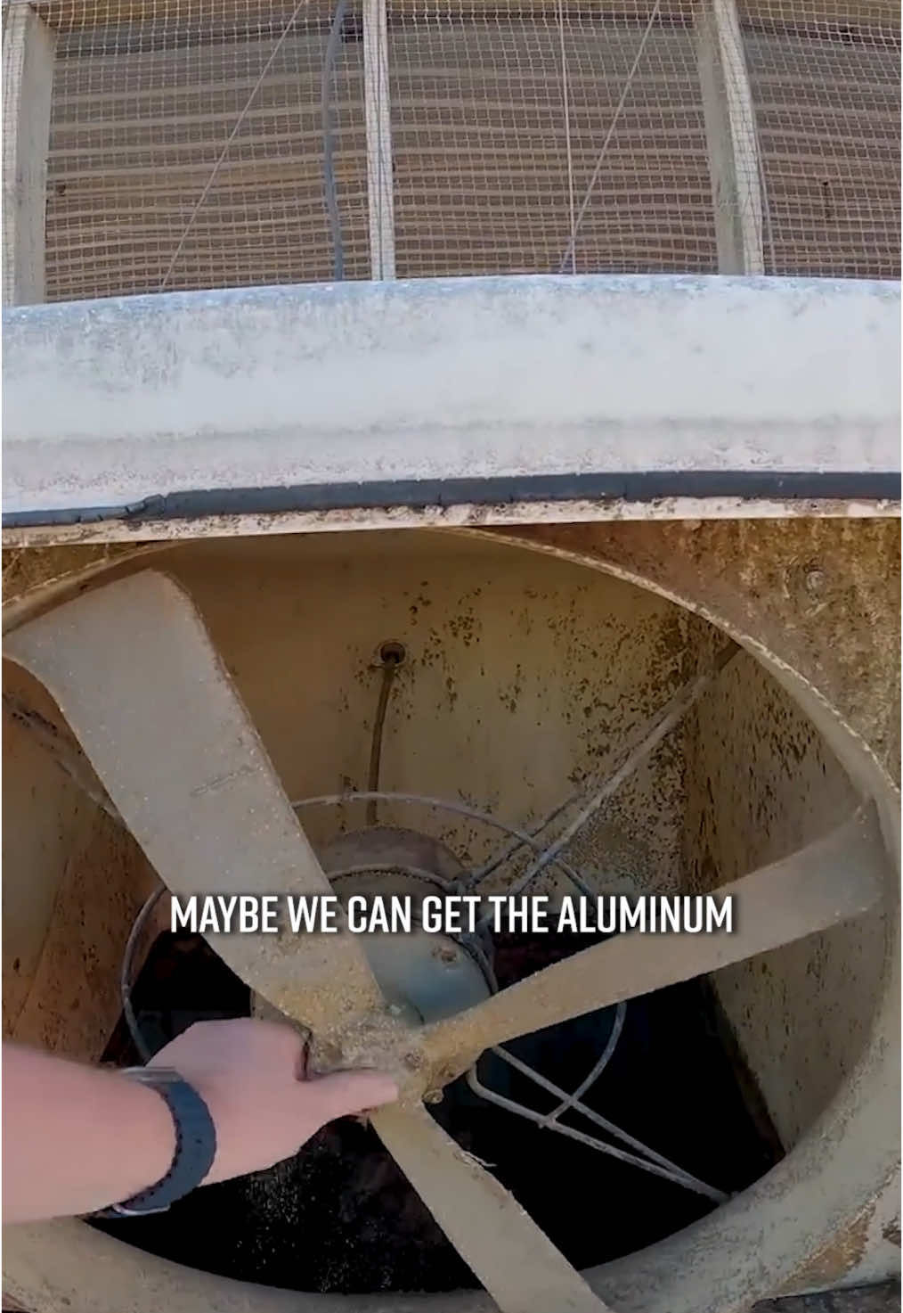 Video post by @thislldofarm on TikTok