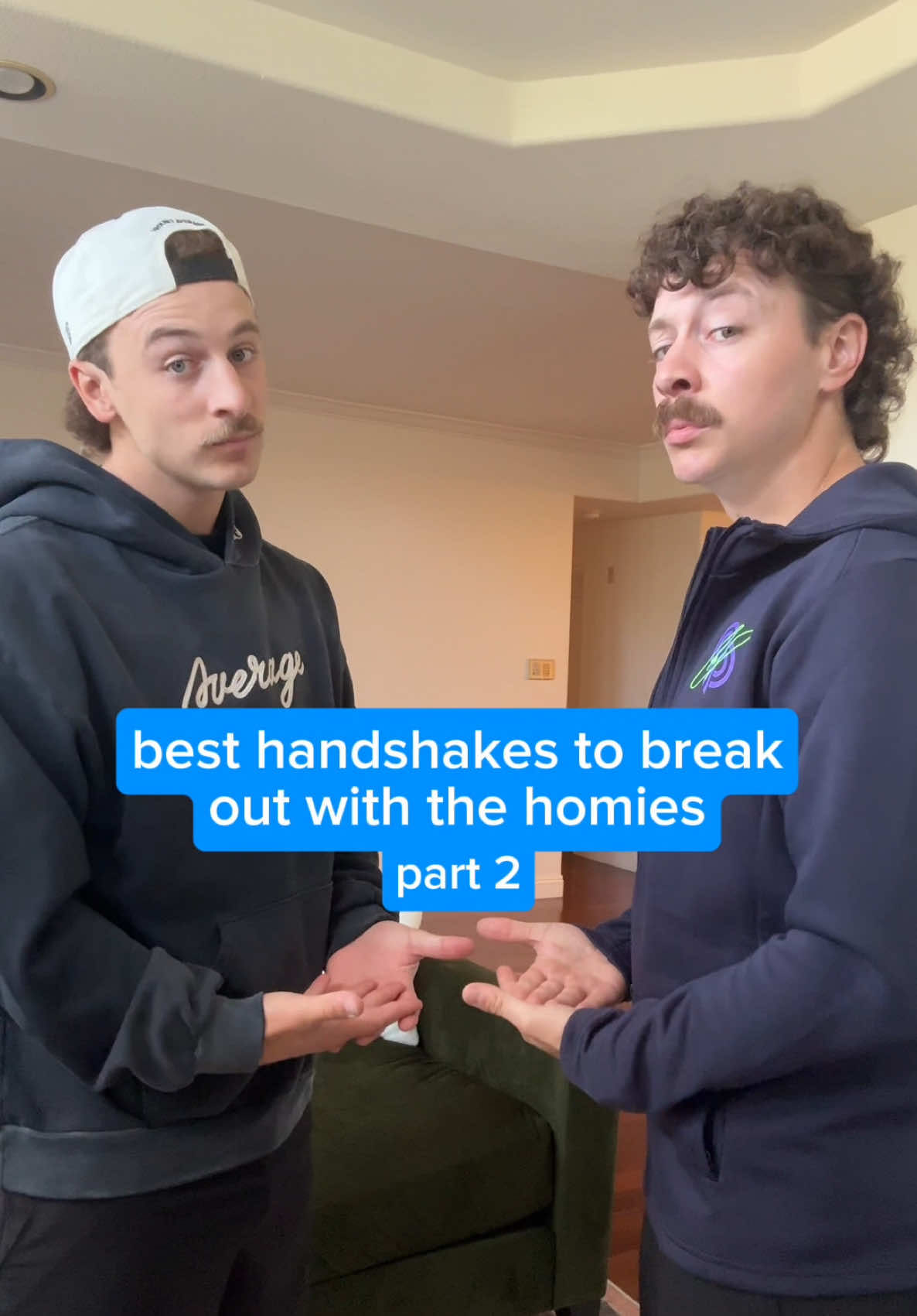 Video post by @thepointerbrothers_ on TikTok