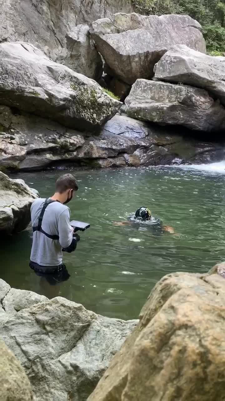 Video post by @maxrenfro on TikTok