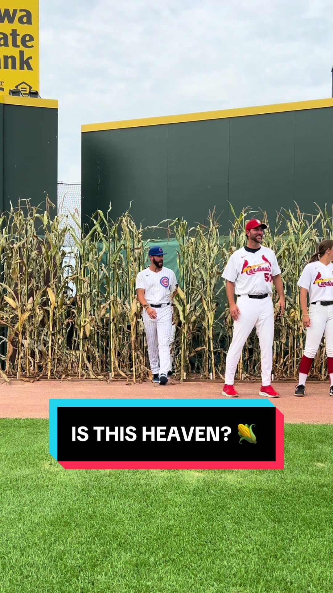 Video post by @iowa.cubs on TikTok