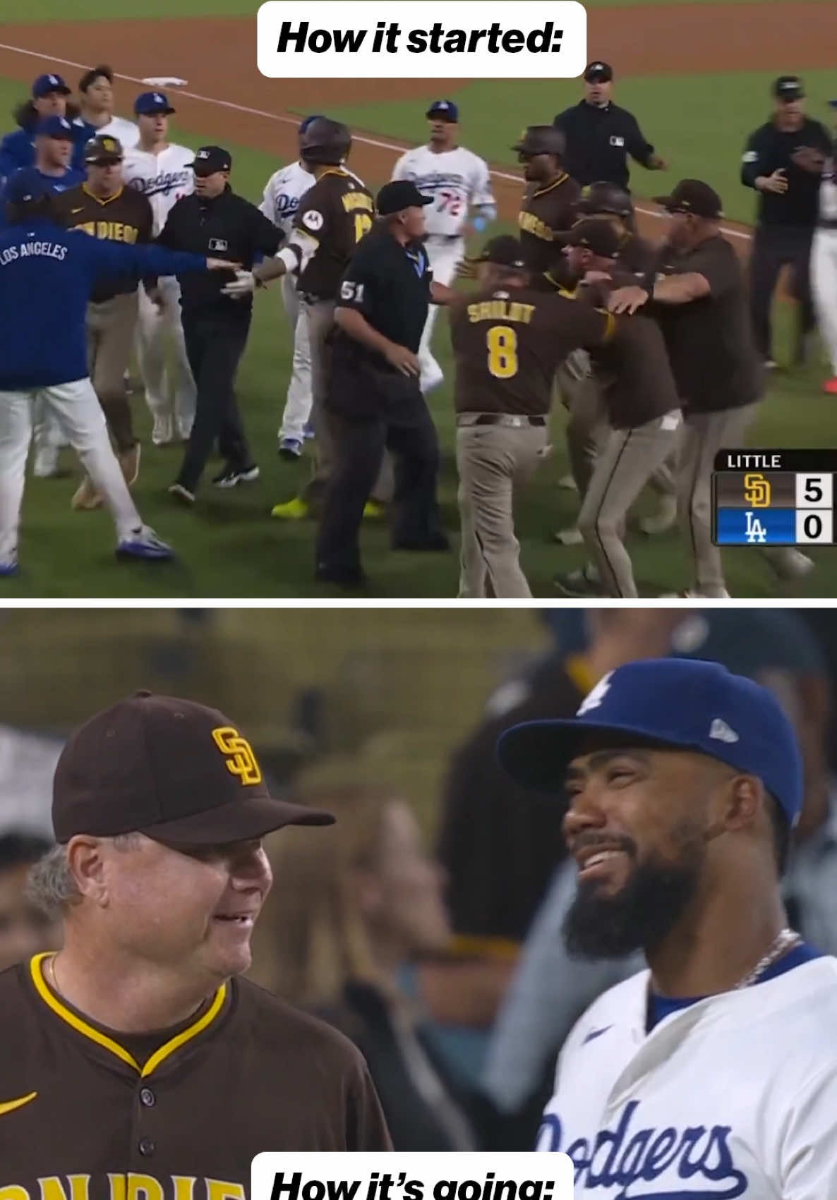 Video post by @mlbonfox on TikTok