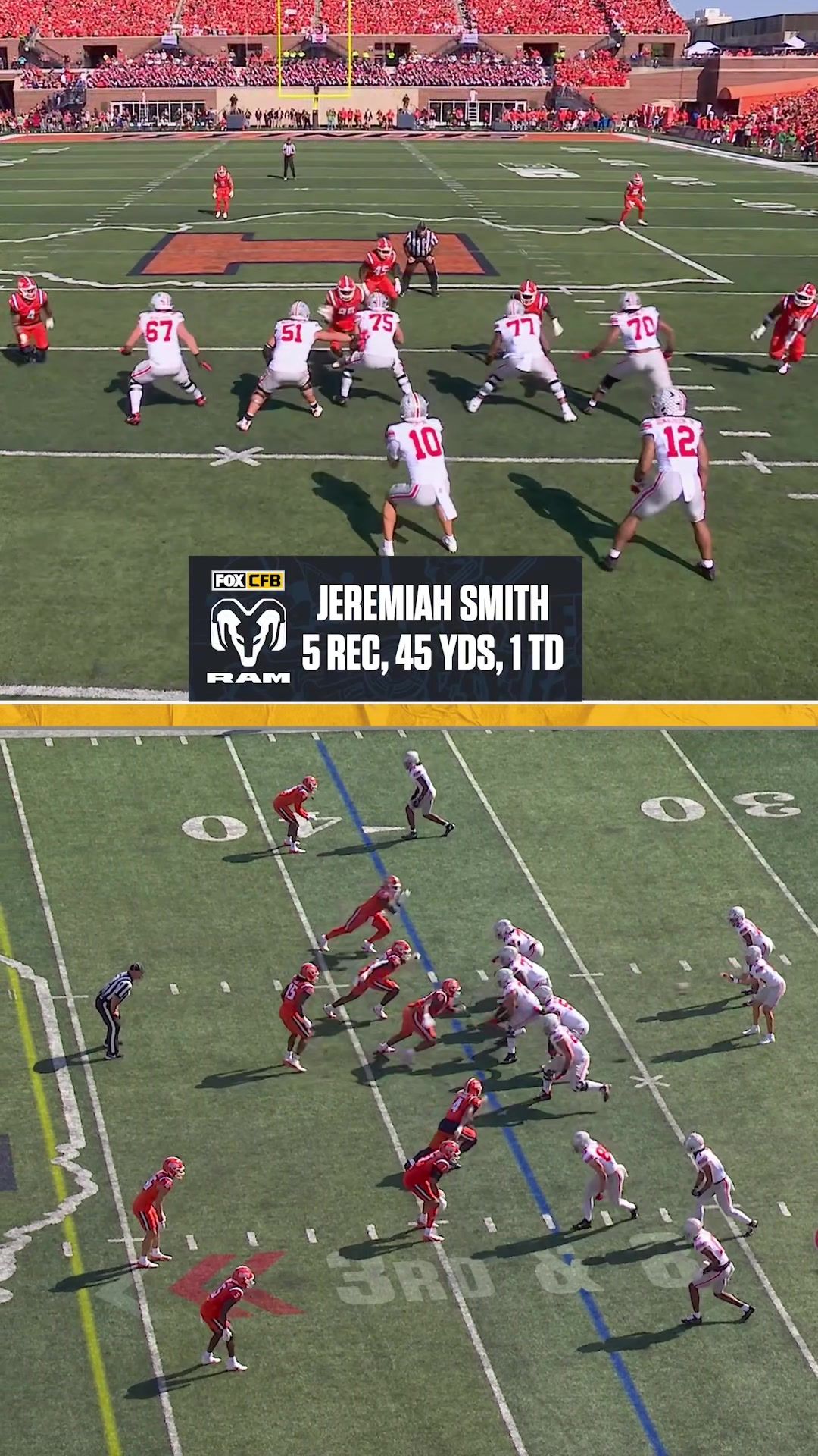 Video post by @cfbonfox on TikTok