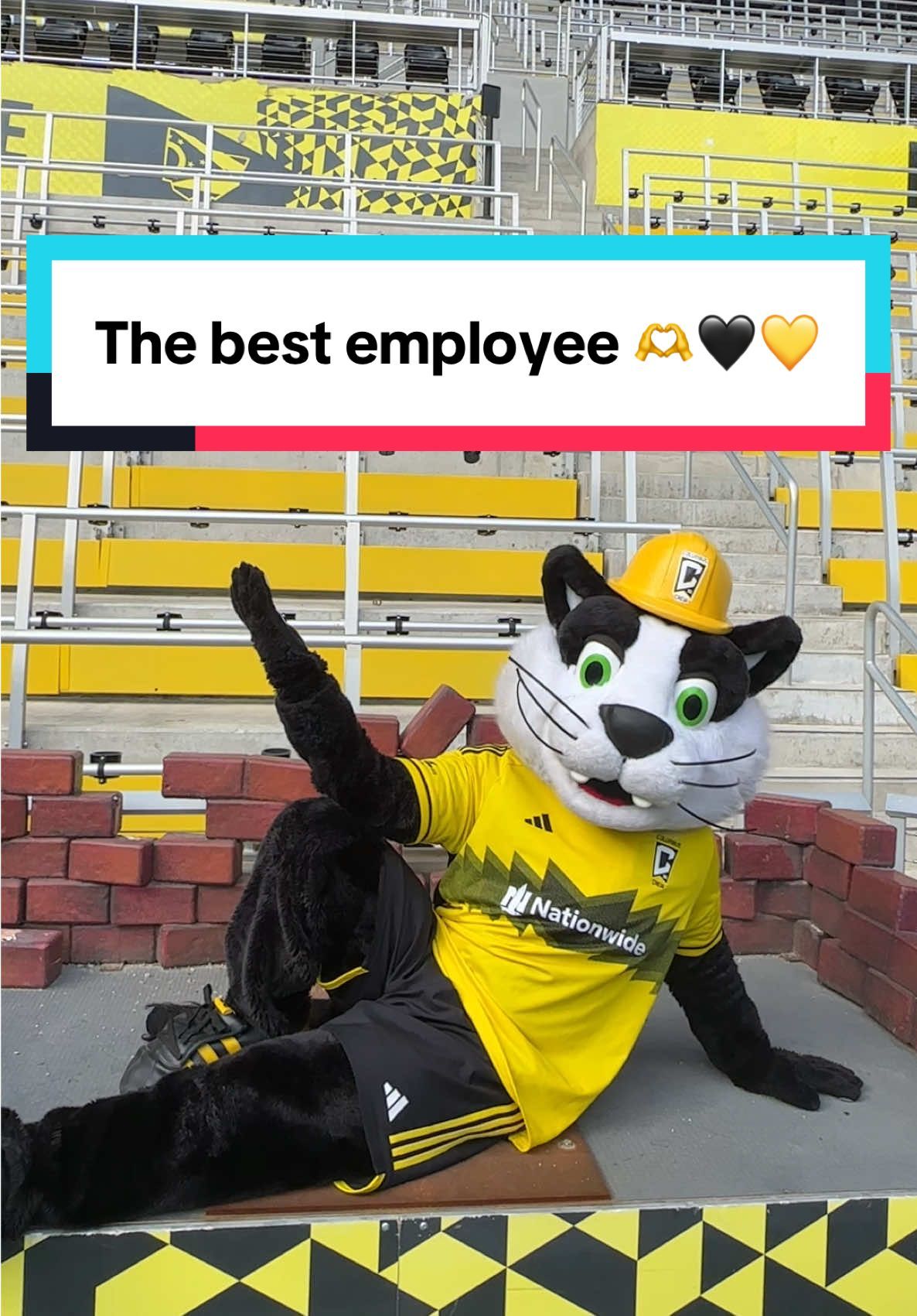 Video post by @columbuscrew96 on TikTok