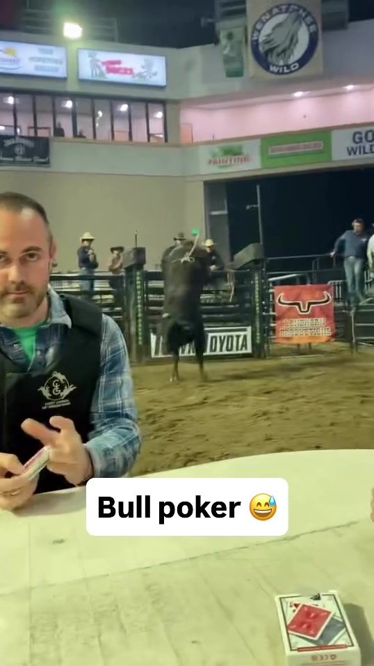 Video post by @dkcasino on TikTok