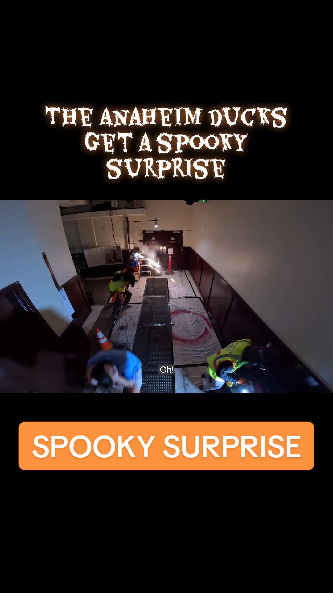 Video post by @anaheimducks on TikTok