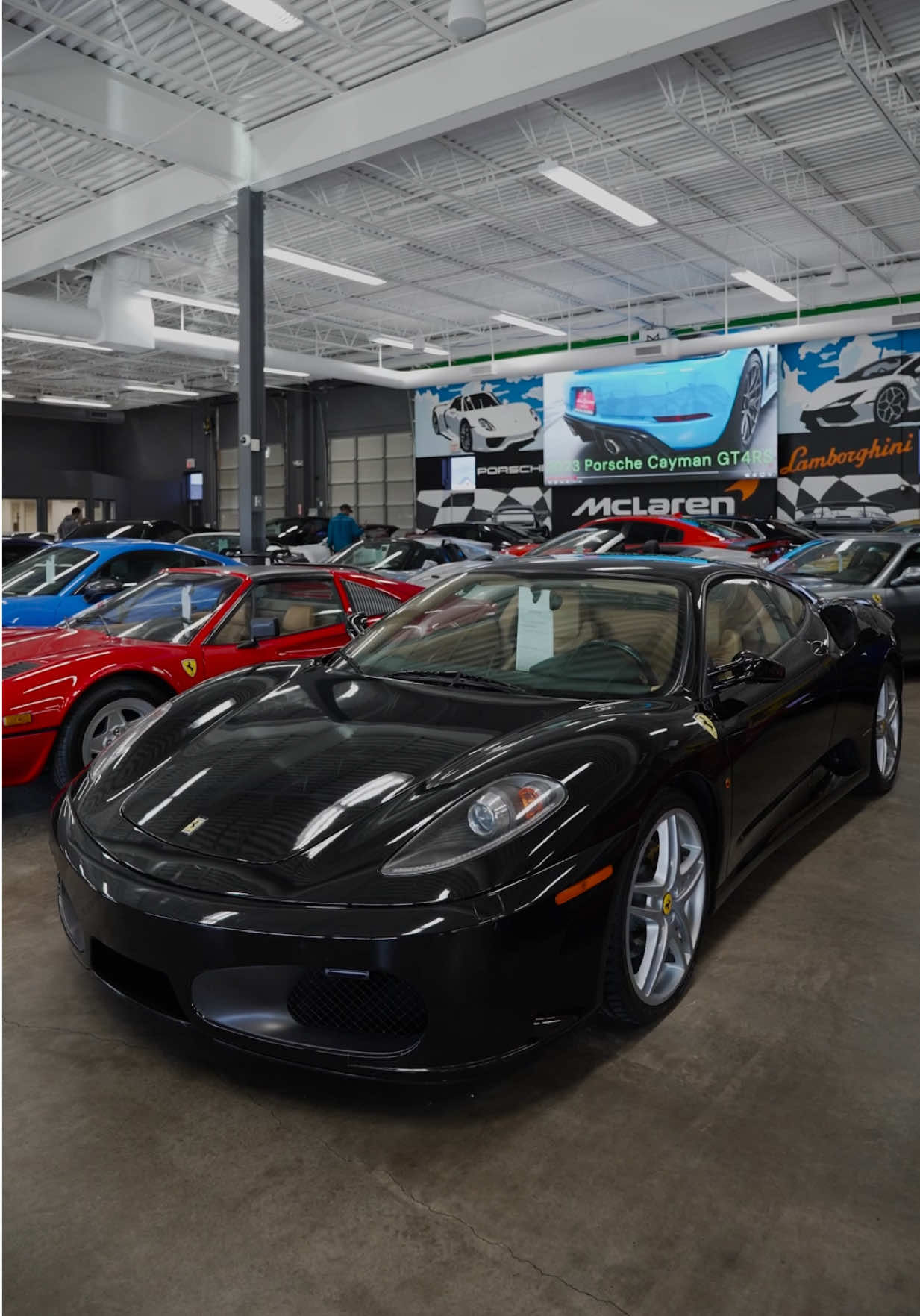 Video post by @exoticsbyleo on TikTok