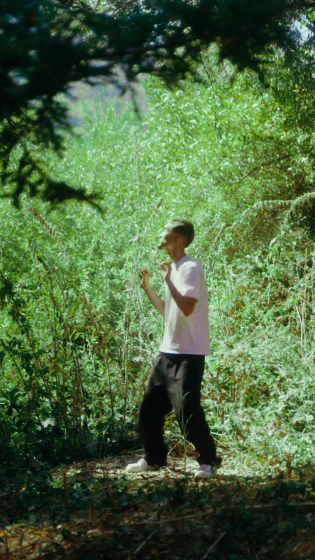 Video post by @seijioda on TikTok