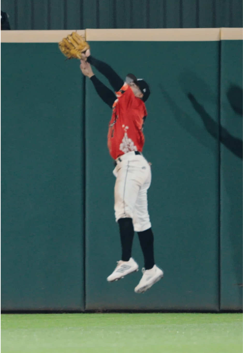 Video post by @trashpandasbaseball on TikTok