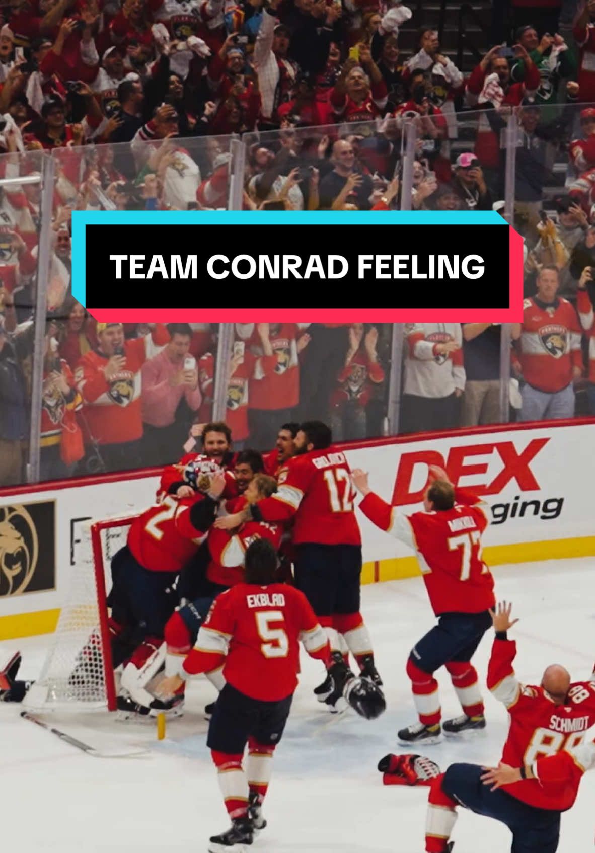 Video post by @nhl on TikTok