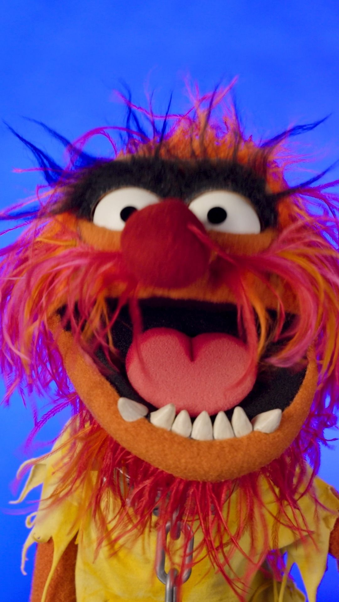 Video post by @muppets on Facebook