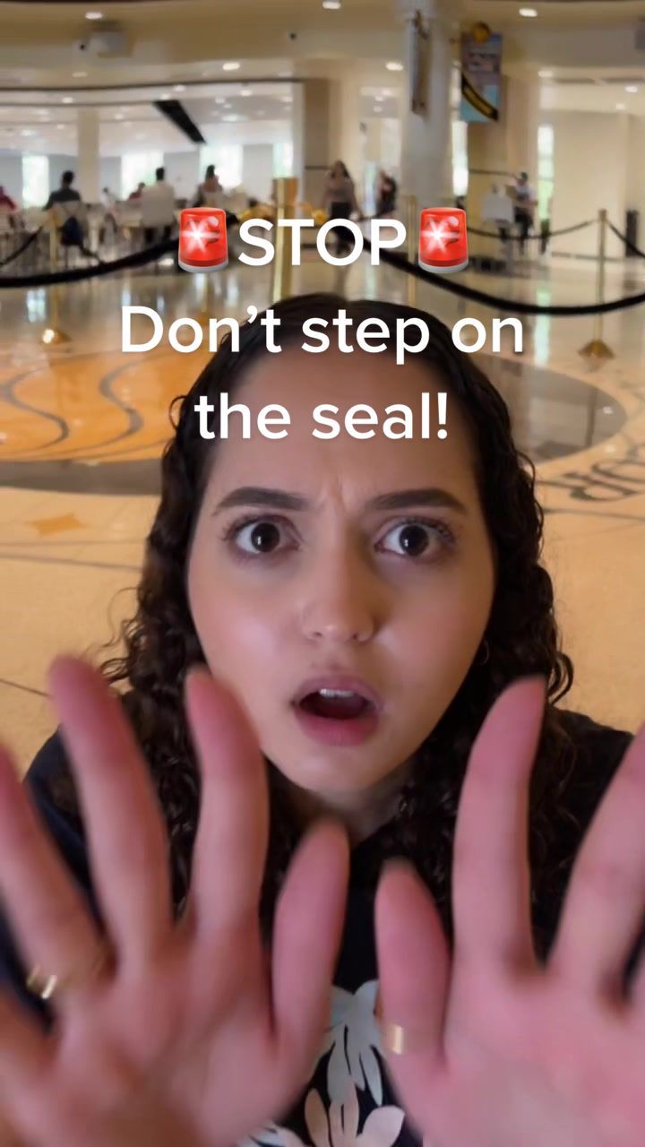 Video post by @ucf.edu on TikTok