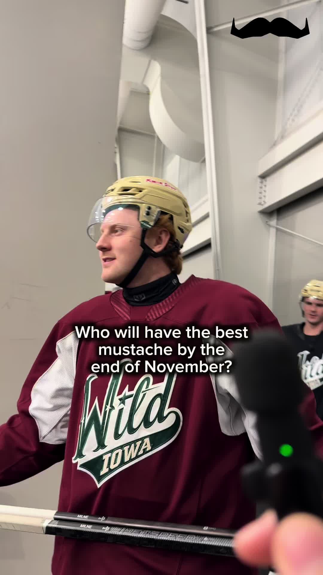 Video post by @iawild on TikTok