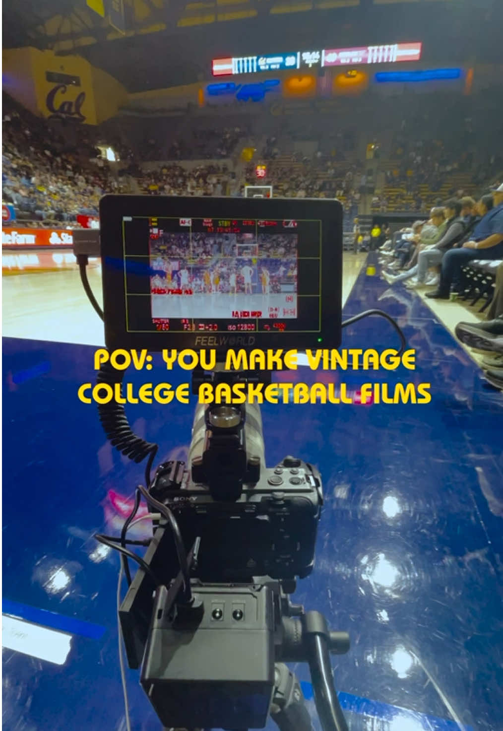 Video post by @luigi.aficial on TikTok