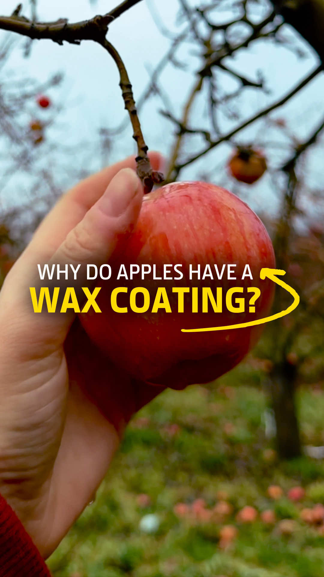 Video post by @johndeere on TikTok