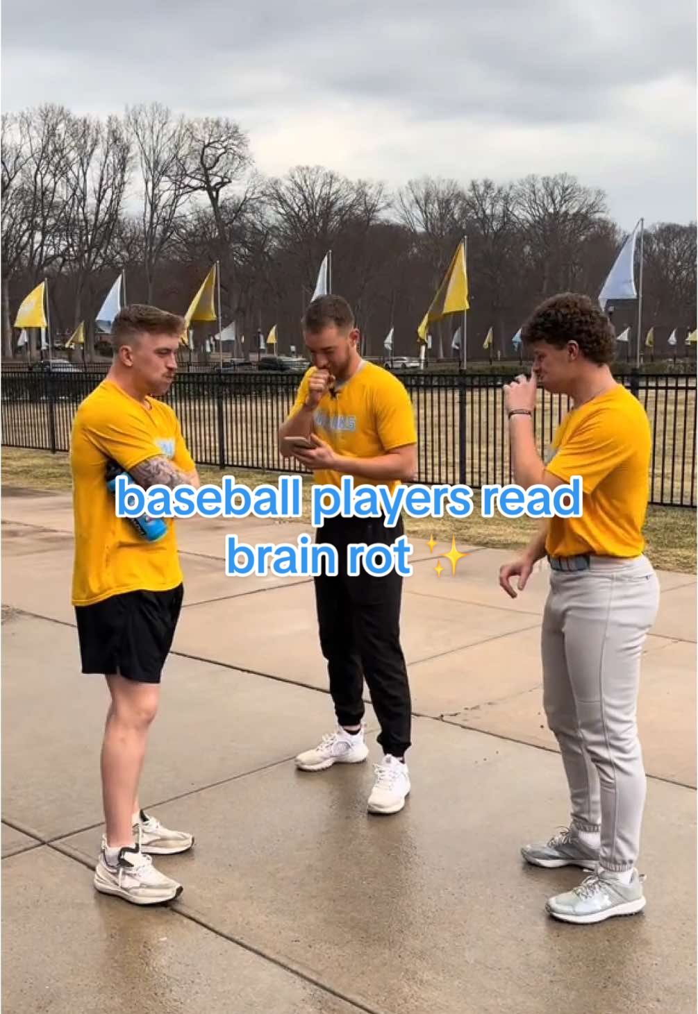 Video post by @liubaseball on TikTok