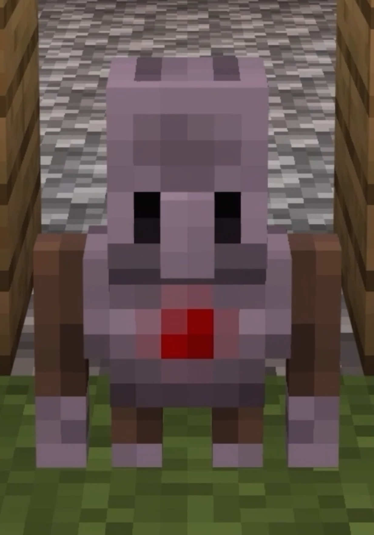 Video post by @minecraft on TikTok