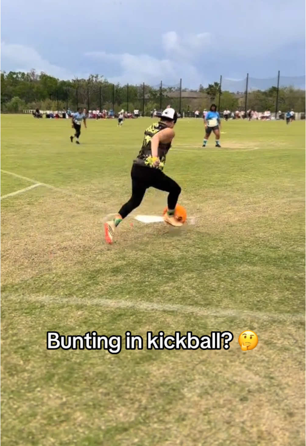 Video post by @houseofhighlights on TikTok