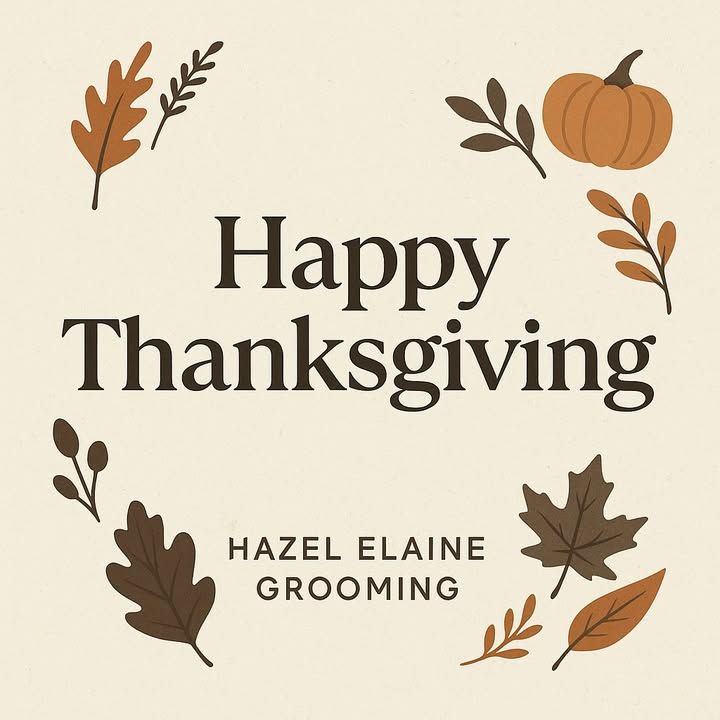 Image post by @Hazel Elaine Grooming on Facebook