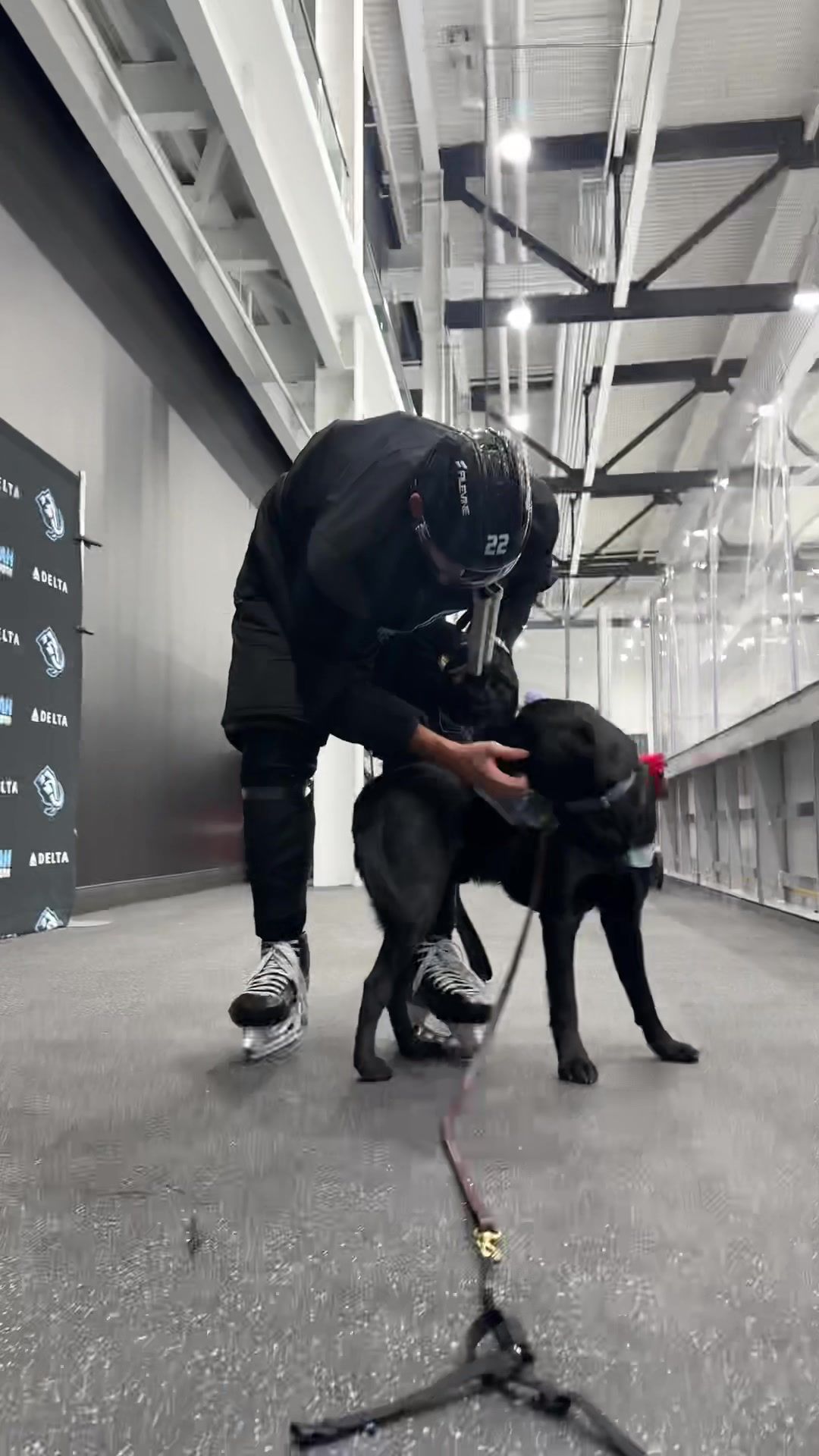 Video post by @utahmammoth on TikTok