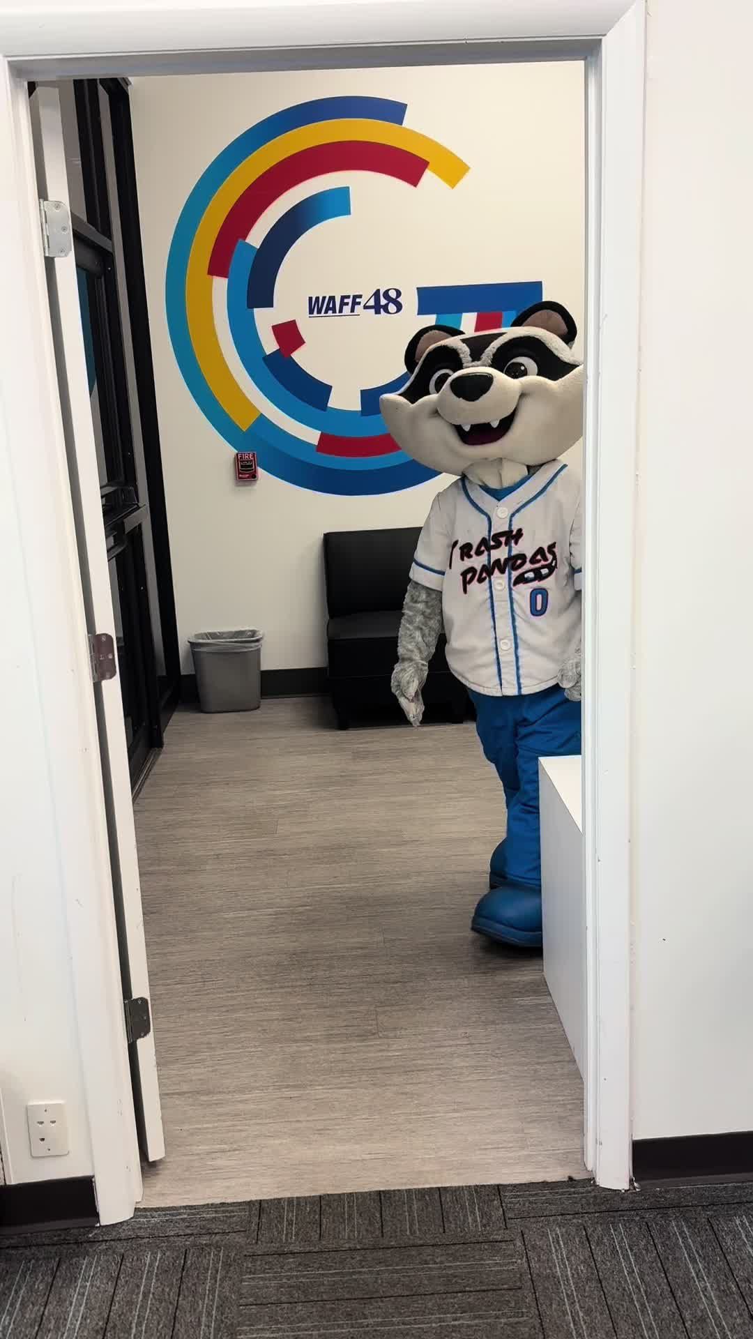 Video post by @trashpandasbaseball on TikTok