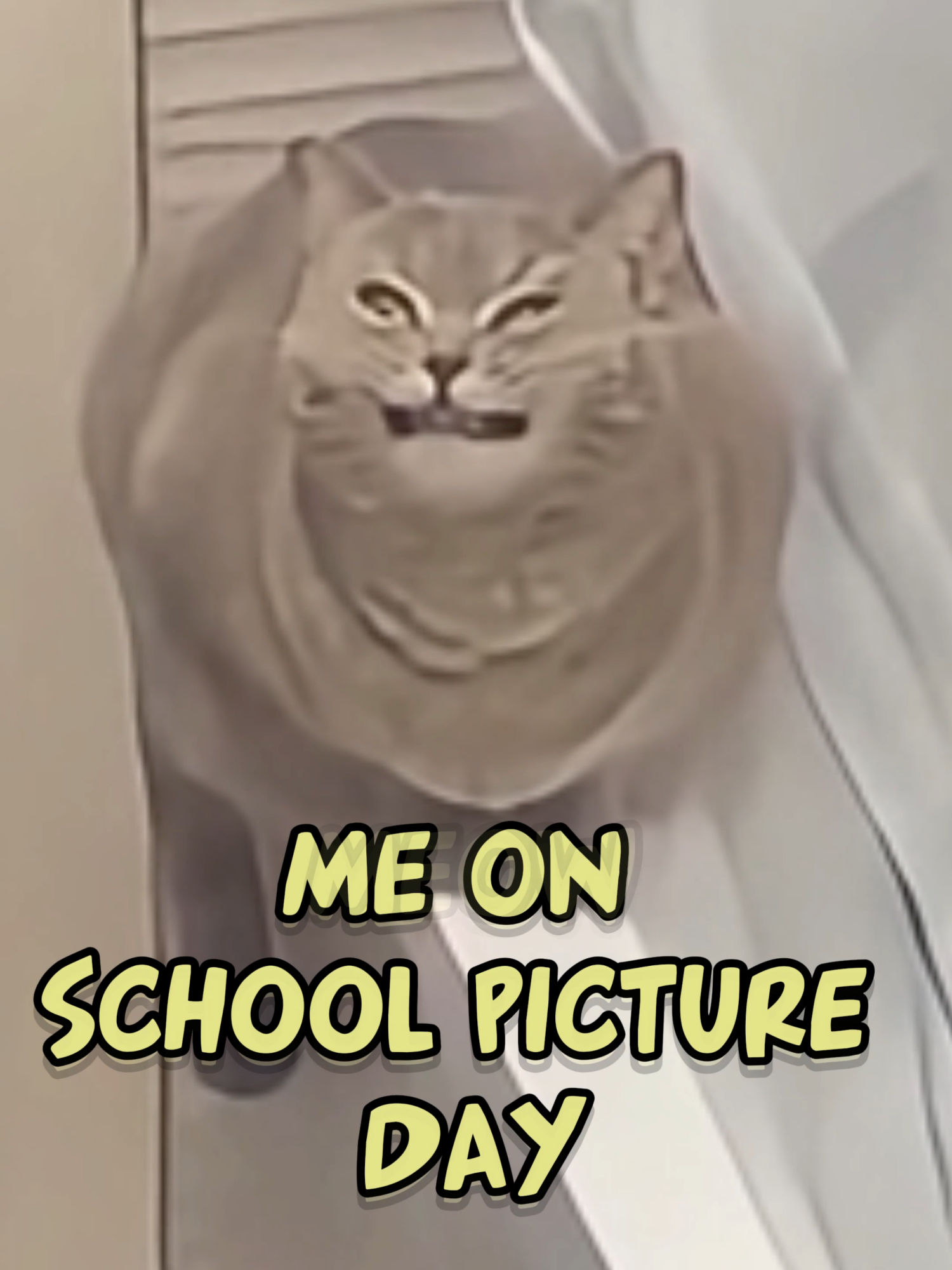 Video post by @realtomvelle on TikTok