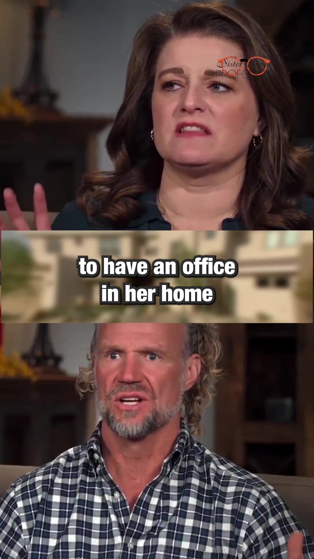 Video post by @thesisterwivesprofessor on TikTok