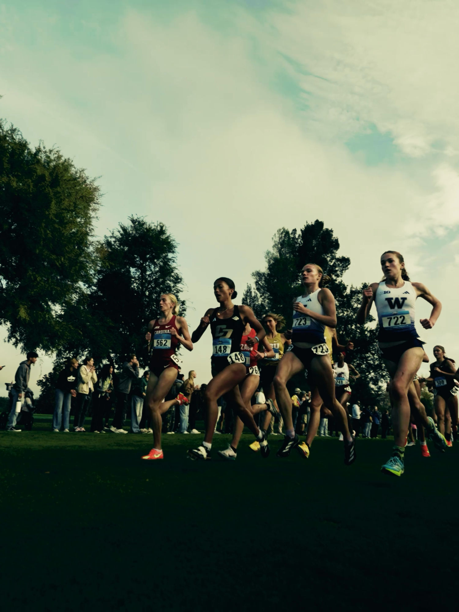 Video post by @nick.deeg on TikTok