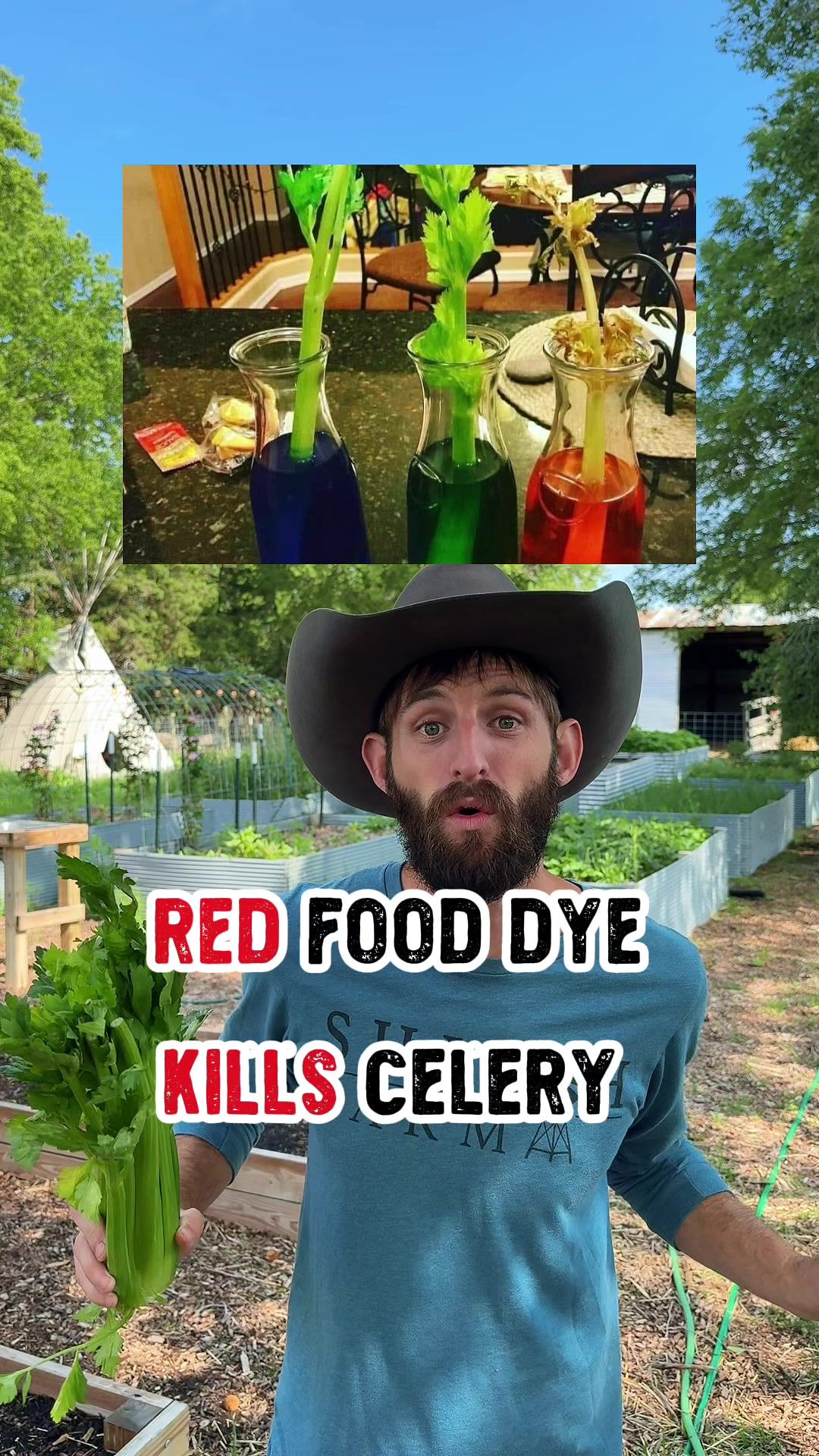 Video post by @shilohfarm on TikTok