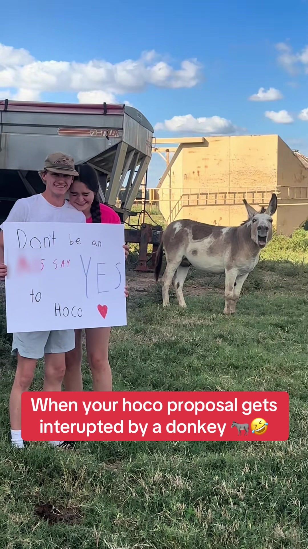 Video post by @whistle on TikTok