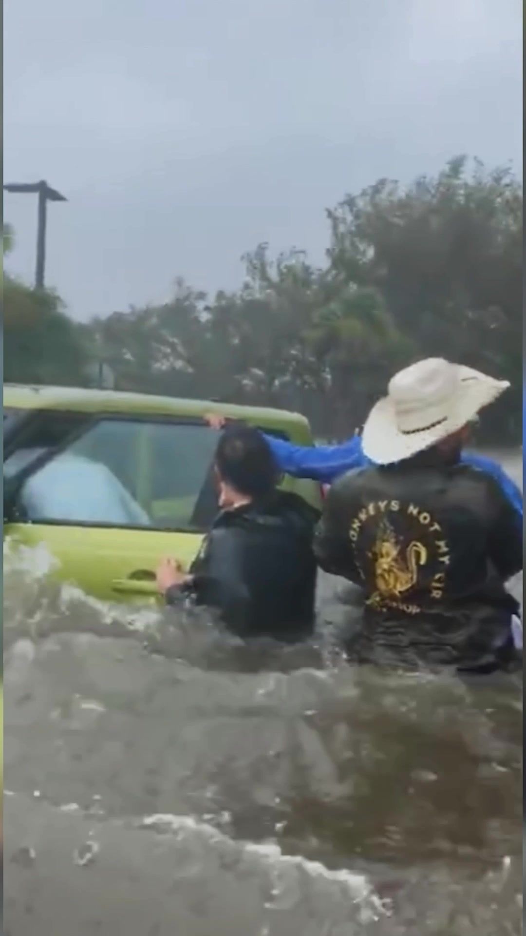 Video post by @discovery on TikTok