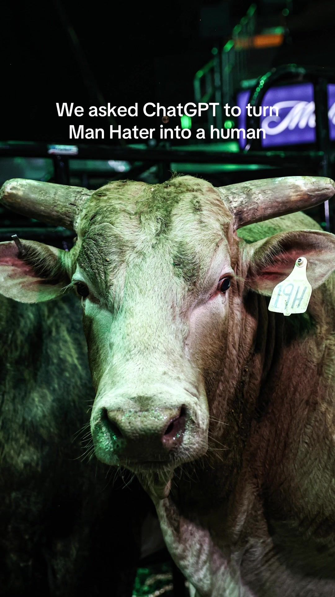 Video post by @pbr on TikTok