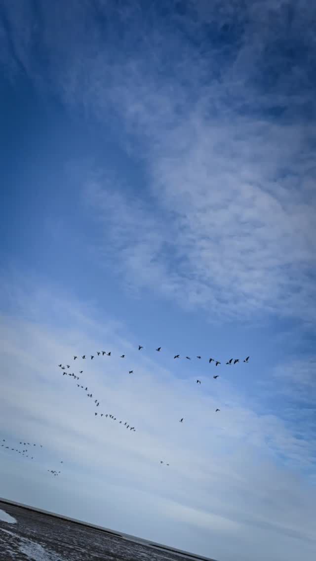 Video post by @henargomezphotography on Facebook