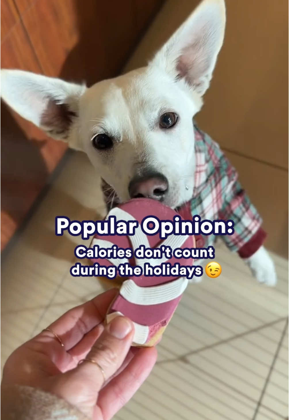 Video post by @petco on TikTok