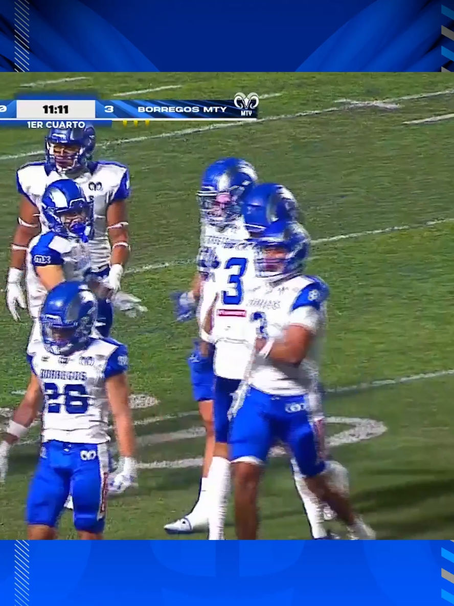 Video post by @borregostec on TikTok