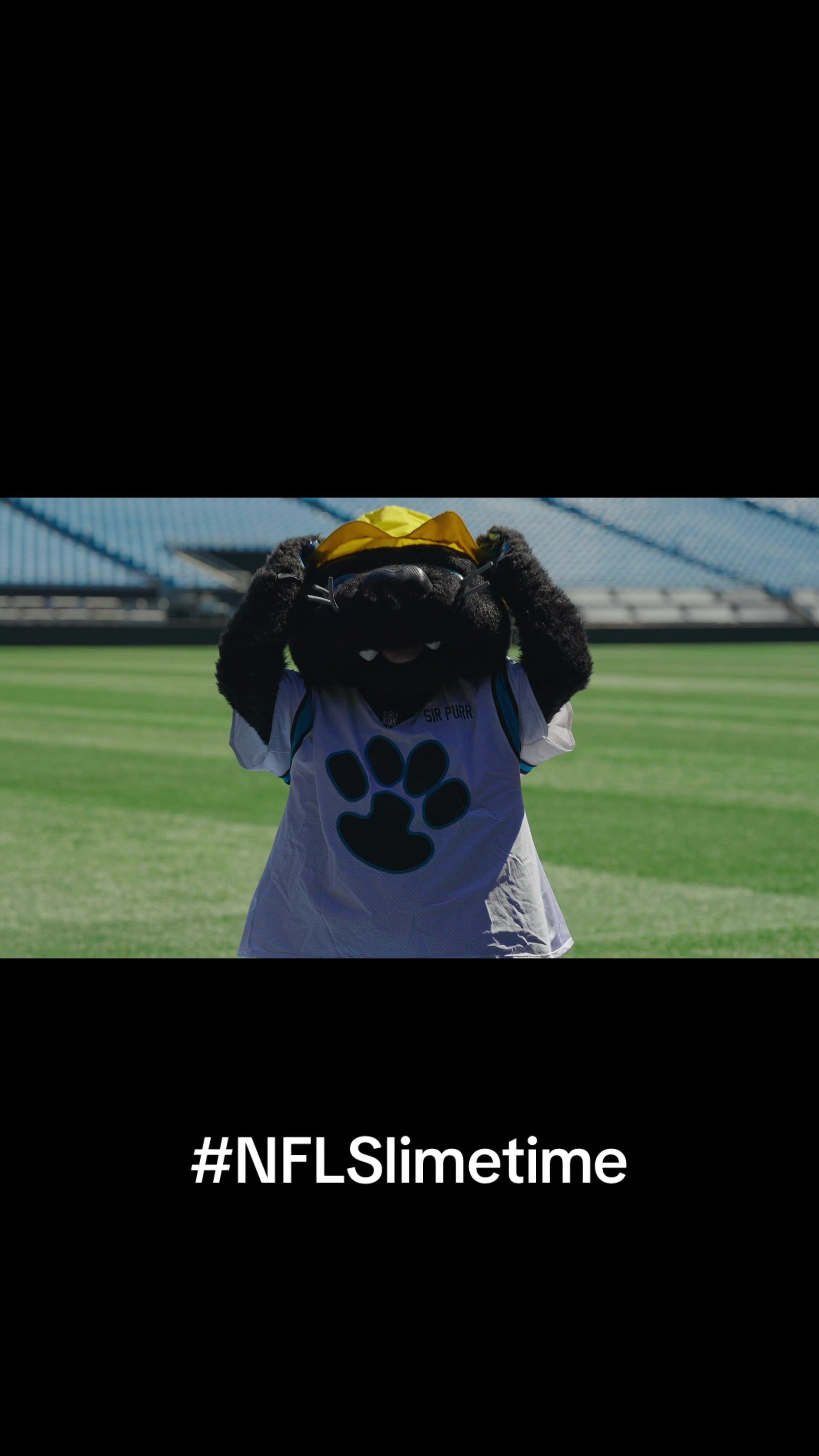 Video post by @sirpurr on TikTok